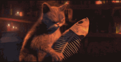 搞笑猫吃鱼图片