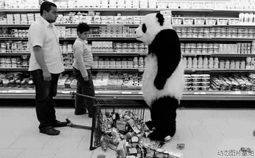 熊猫搞笑动态图片