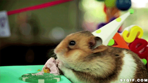 小花栗鼠偷吃蛋糕图片