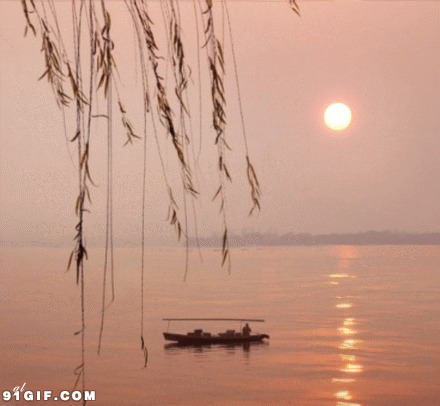 夕阳垂柳一叶小舟美景图片
