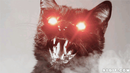变异的猫猫眼睛发光动态图片