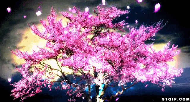 大桃树飘落的花瓣唯美意境图片