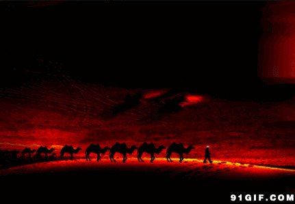 红霞满天骆驼商队唯美图片