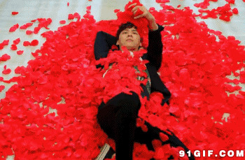 躺在红色花瓣中的男人图片