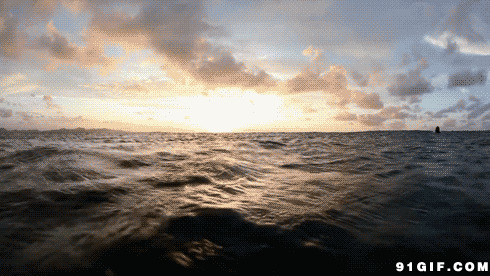 海面翻滚的波浪动态图片