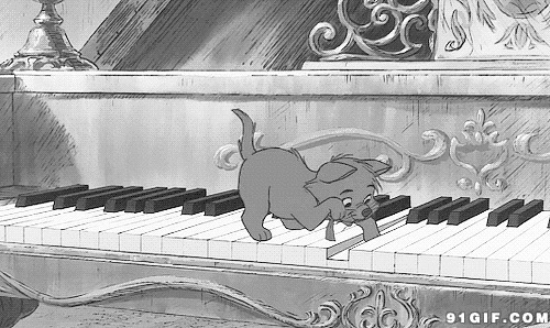 卡通猫猫弹钢琴视频图片