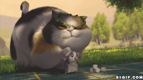 大胖猫爱抚小老鼠动画图片