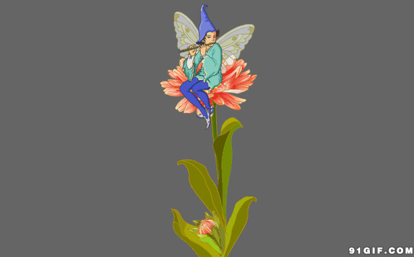 吹笛的蝴蝶仙子动漫图片