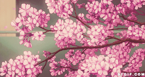满树桃花落下花瓣卡通图片