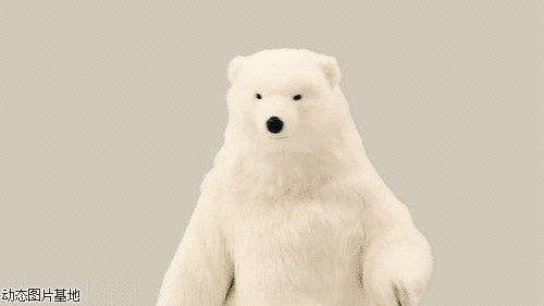 北极熊搞笑图片