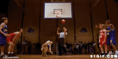 狗狗投篮球动态图片