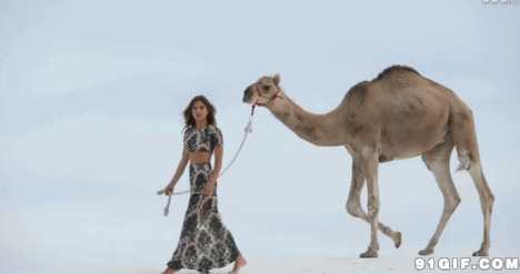 牵着骆驼走的美女