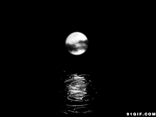 唯美月亮黑白动态图