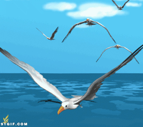 动漫海鸟飞翔动态图
