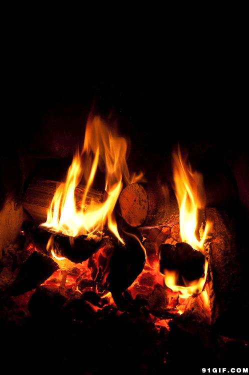 木材烧火动态图