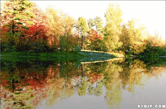 秋天河岸风景唯美动态图