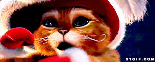 可爱圣诞小猫咪动态图片
