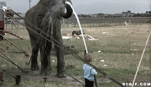小孩和大象动态图片