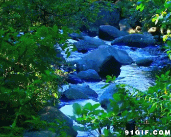 山谷泉水流淌gif图片