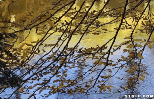 湖水波光粼粼美景图片