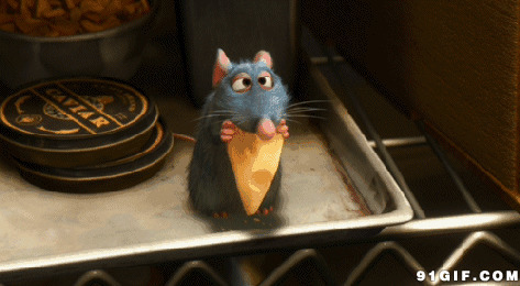 老鼠偷吃食物图片