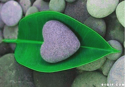 绿叶心形石头唯美动态图
