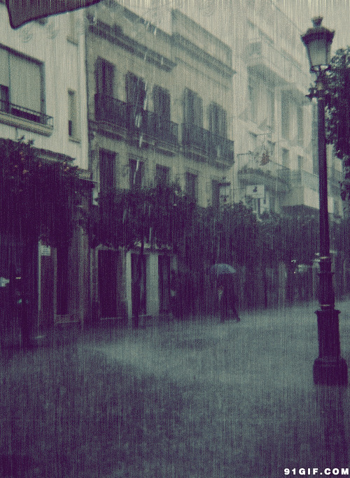 城市街道雨中即景动态图