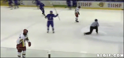 冰球运动员扔杆打人动态图