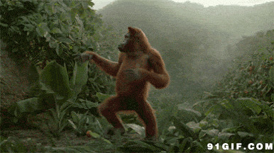 猩猩跳舞图片