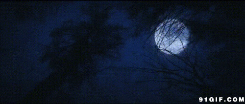 夜空月亮图片