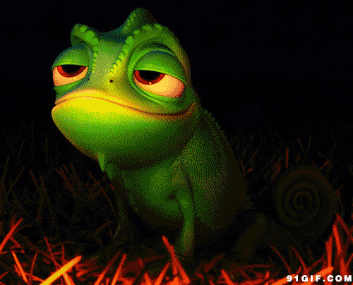 青蛙动态图片集[41图]