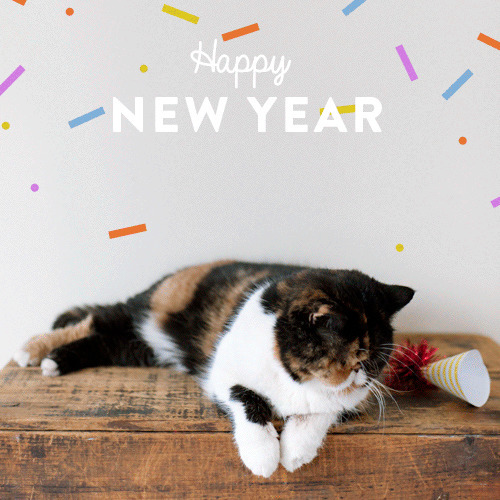 猫咪过快乐新年动态图