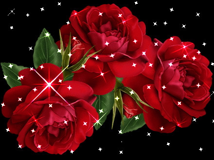 红色玫瑰花唯美图片