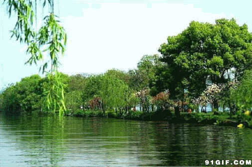 青山绿柳湖边美景图片