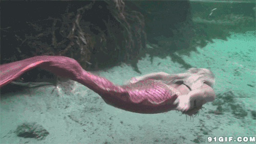 海底美人鱼潜水gif图