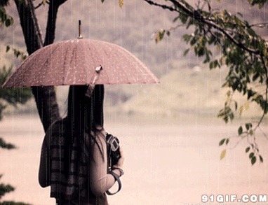 雨中打伞的女孩闪图