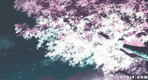 动漫散落的樱花gif图
