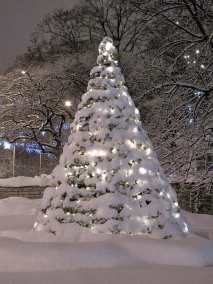 雪堆圣诞树动态图