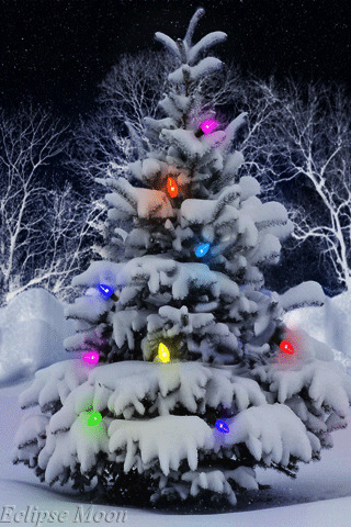 炫彩圣诞树gif图