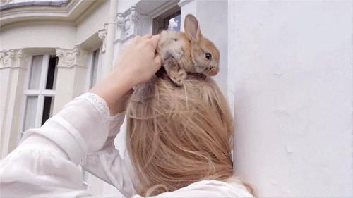 恶搞女人头上的小兔子GIF图片