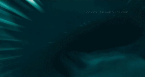 海洋馆的大鲨鱼GIF图片