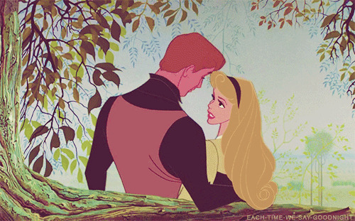 王子与公主的爱情故事GIF图片