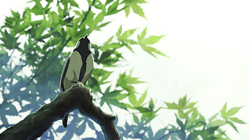 树上一只鸟动画图片