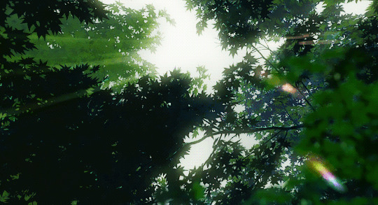 森林里的阳光动画图片
