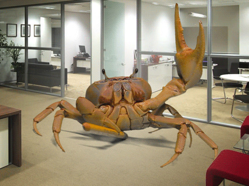 办公室大螃蟹动态图片