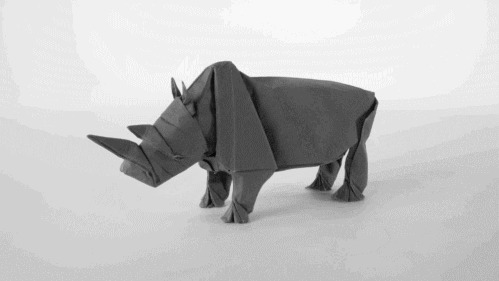 纸折犀牛动态图片