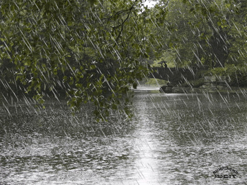 湖水秋天雨动态图