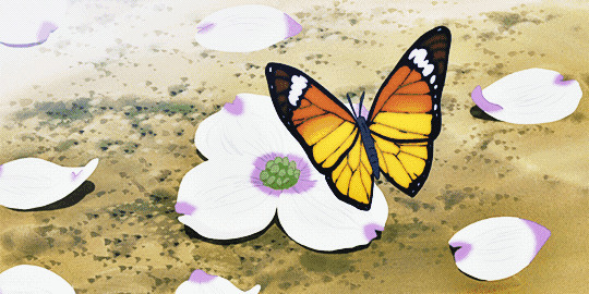 蝴蝶鲜花动态图片