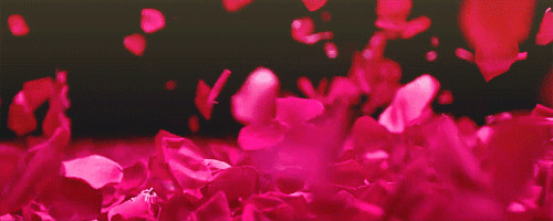浪漫红色花瓣gif图