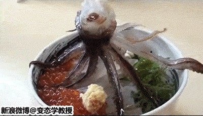 残忍吃活章鱼动态图
